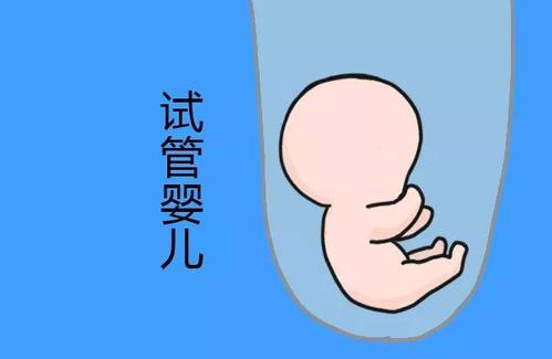 蘇懷安